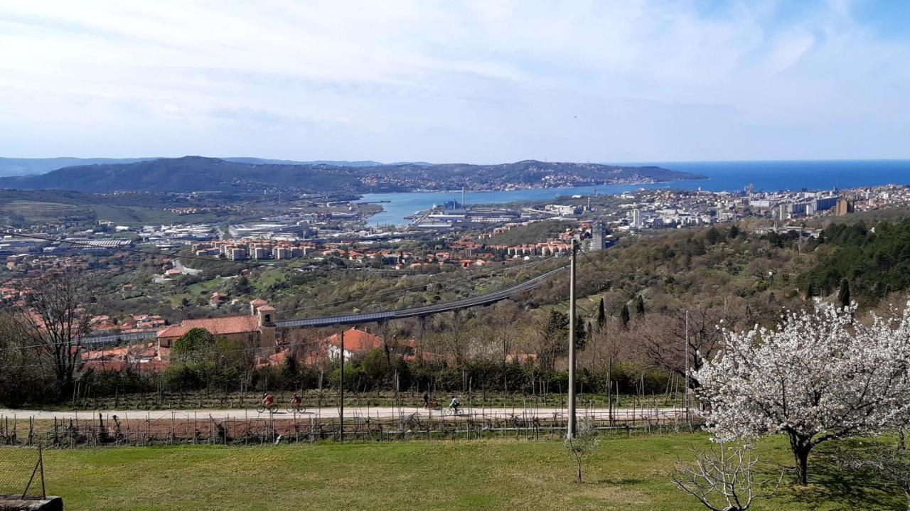 Bellavista Trieste San Dorligo della Valle Exteriör bild